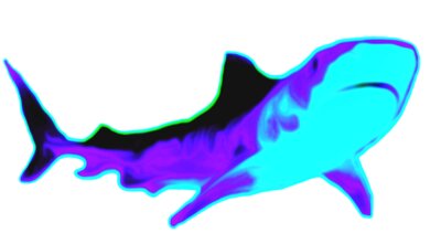 shark 2  9 no teeth   fin 2a